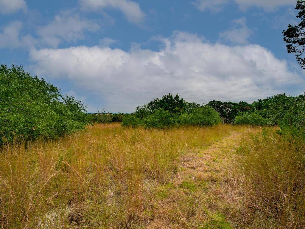 Dripping Springs, TX 78620,19.84 acres off RR 12 & Mirela Anne