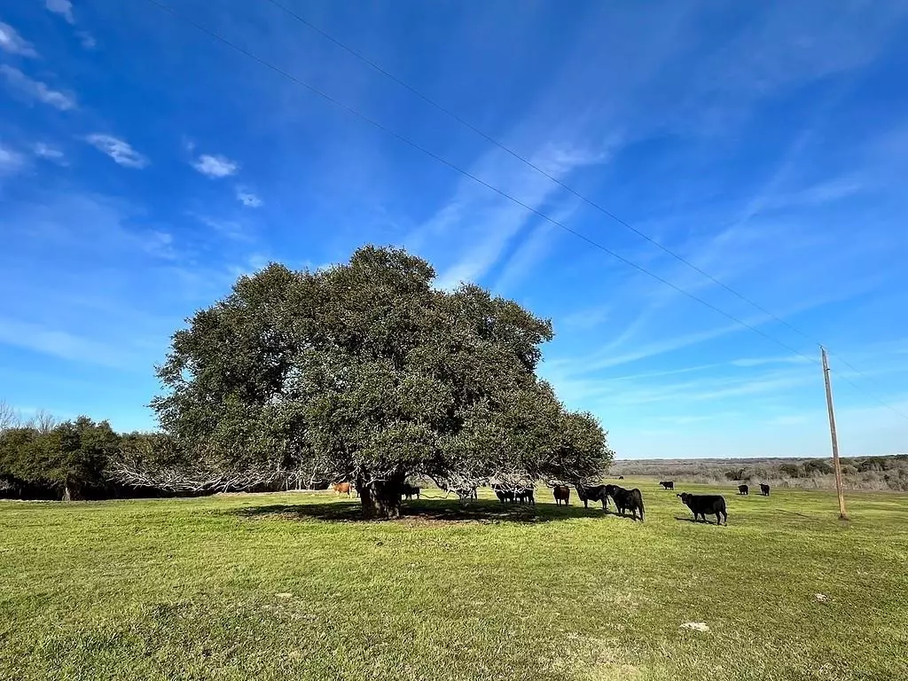 Brenham, TX 77833,9785 Oil Field RD