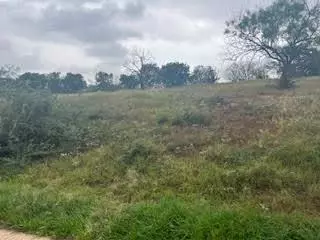 Horseshoe Bay, TX 78657,W25005 Apache Tears