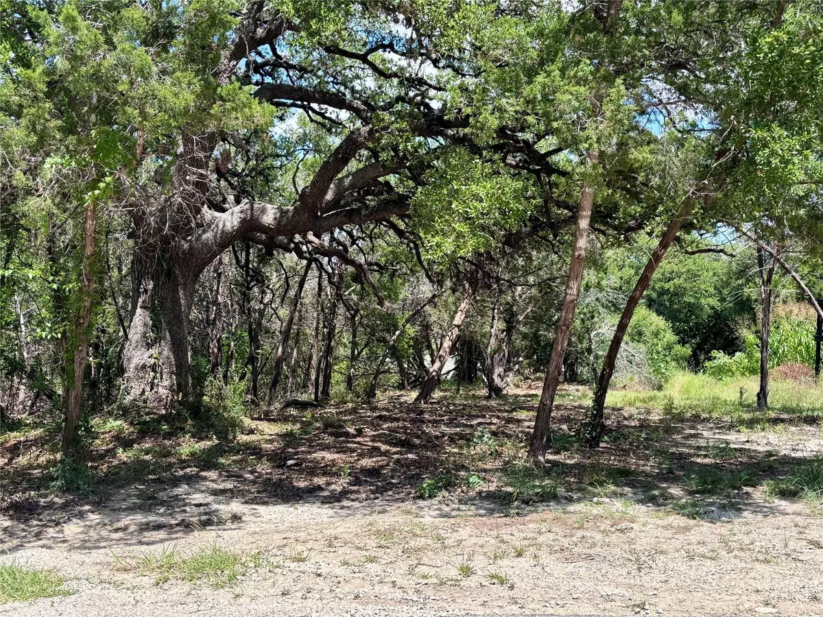 Spring Branch, TX 78070,TBD S Contour DR