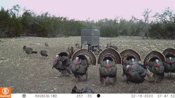 Harper, TX 78631,65 Miles Lane