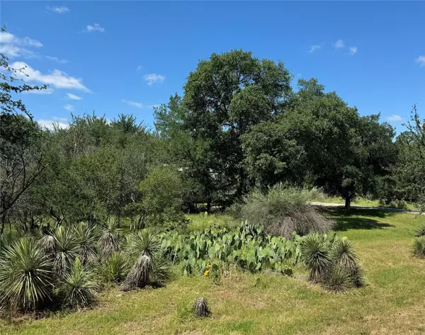 Granite Shoals, TX 78654,Lot 173 & 174 W Briar DR