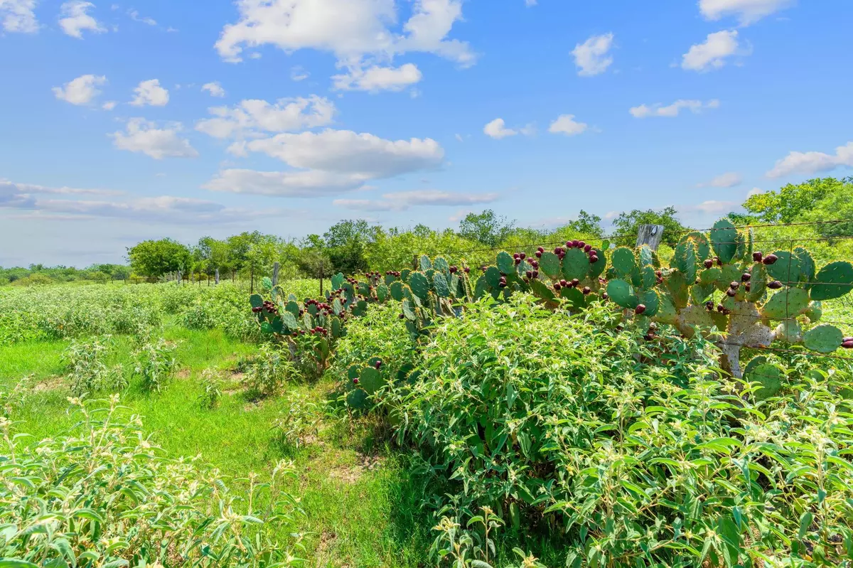 Harwood, TX 78629,Lot 10 Cr 280