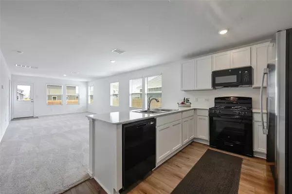 Kyle, TX 78640,203 Chapel Beck Dr DR