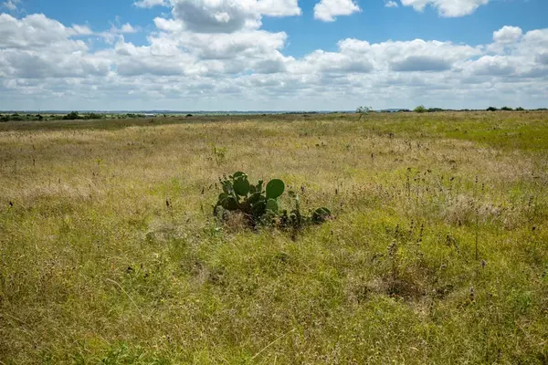 Bertram, TX 78605,Lot 2 TBD Fm-243