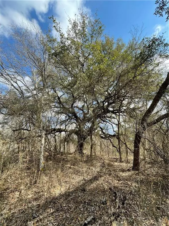 Lockhart, TX 78644,1899 Young LN #Lot-4