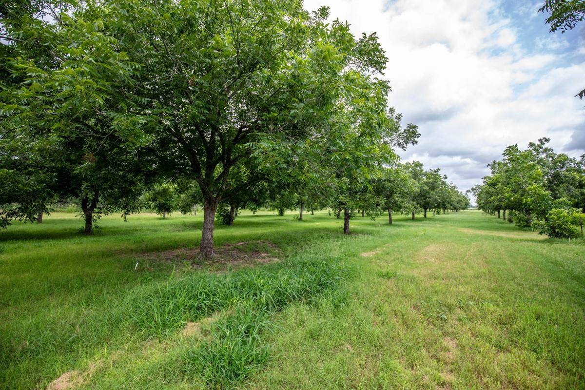 Falfurrias, TX 78355,2432 County Road 402
