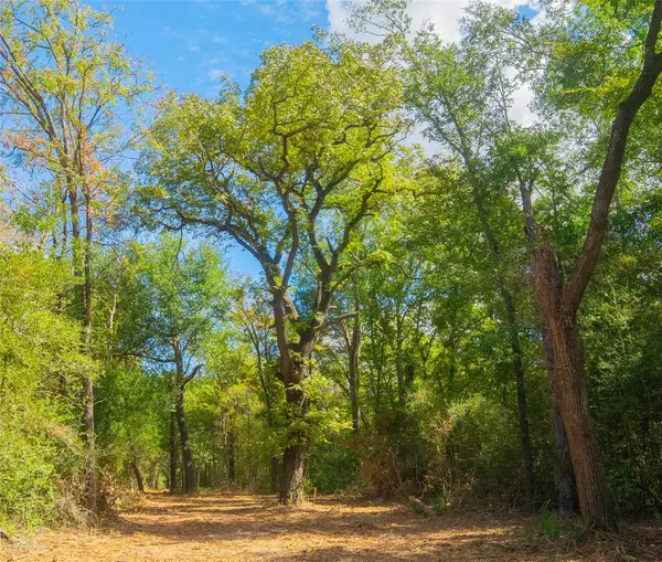 Calvert, TX 77859,12608 Red Hill RD
