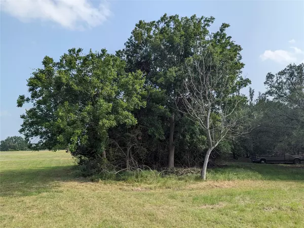 Briggs, TX 78608,Lot 62 County Road 229