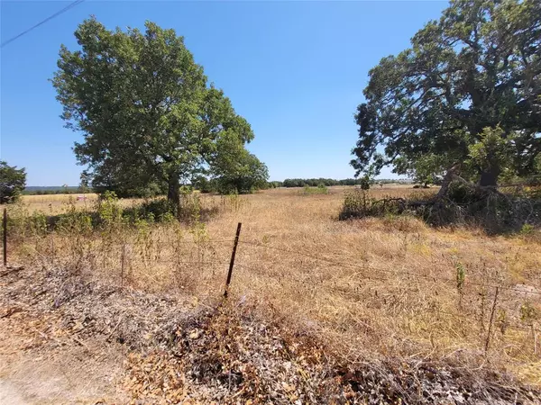 Mcdade, TX 78650,000 Brown RD