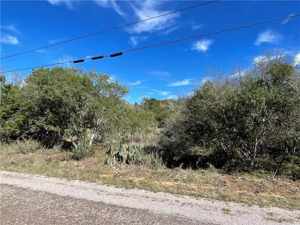 Granite Shoals, TX 78654,TBD W Castleshoals DR