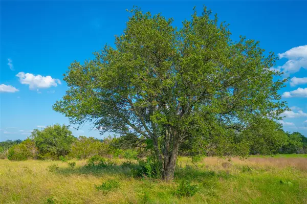 Johnson City, TX 78636,0000 Long View Ranch