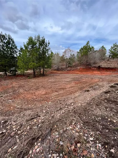 TBD Moku CT, Bastrop, TX 78602
