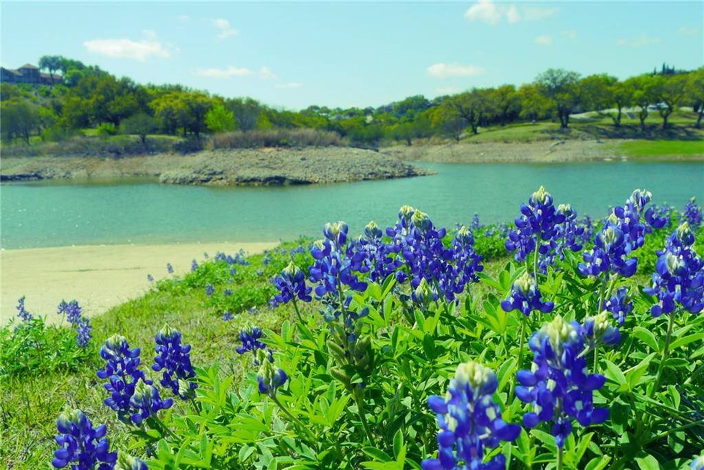 1198 Ridge Harbor DR, Spicewood, TX 78669