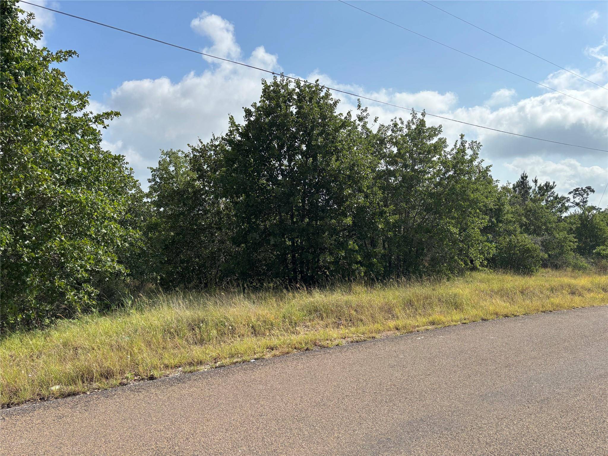 101 Homonu CT, Bastrop, TX 78602