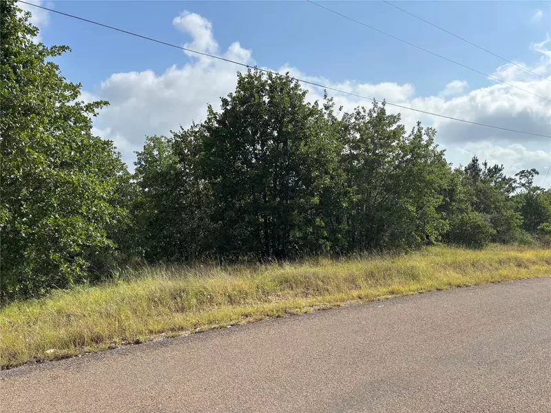 101 Homonu CT, Bastrop, TX 78602