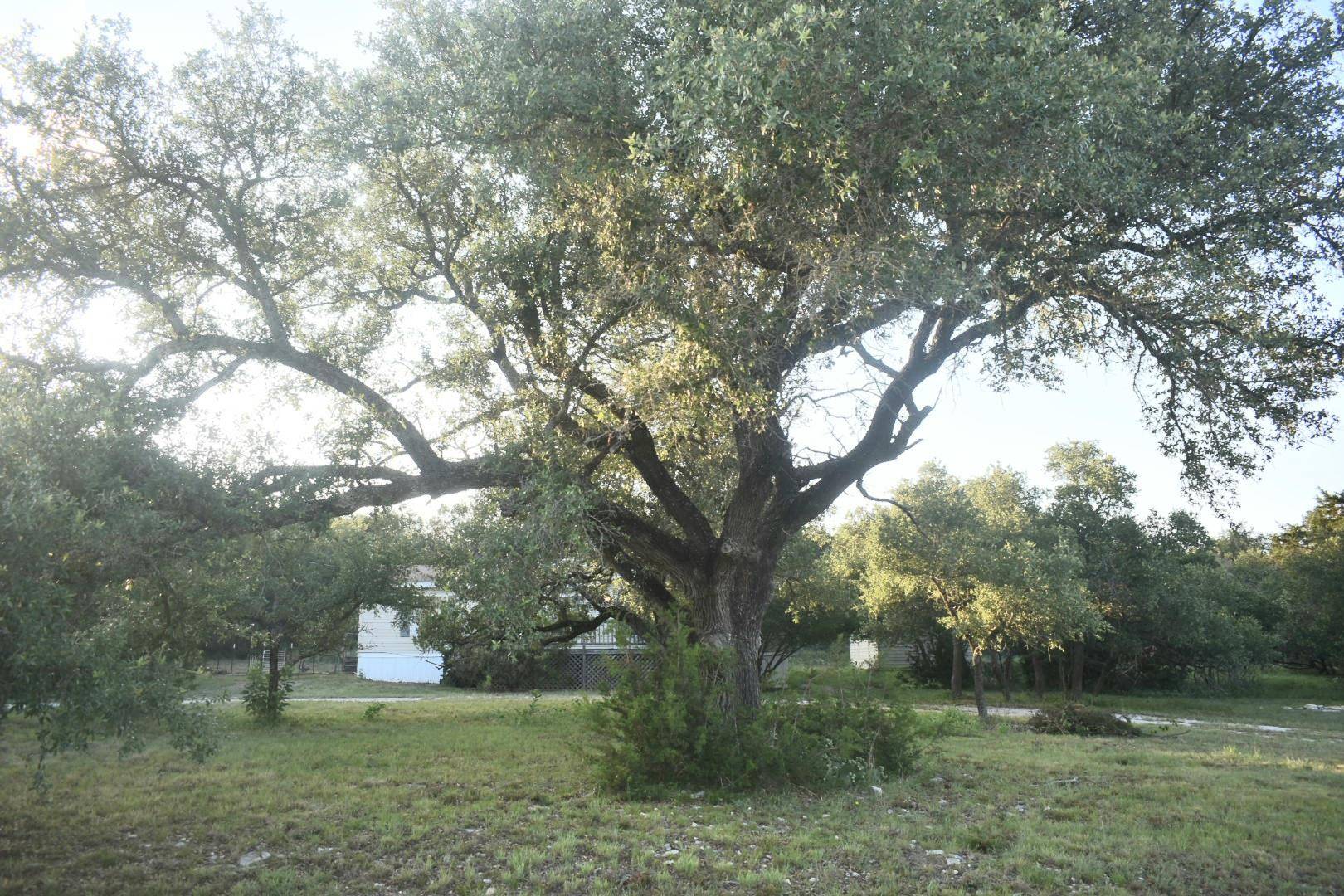 Liberty Hill, TX 78642,1800 Thousand Oaks TRL