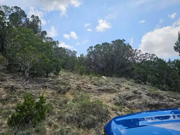 Lago Vista, TX 78645,4509 Outpost TRCE