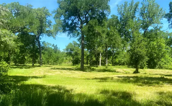 1373 Lower Elgin RD,  Elgin,  TX 78621
