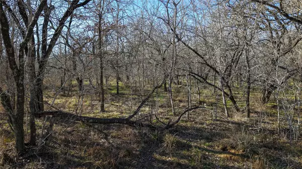Seguin, TX 78155,000 Cross RD