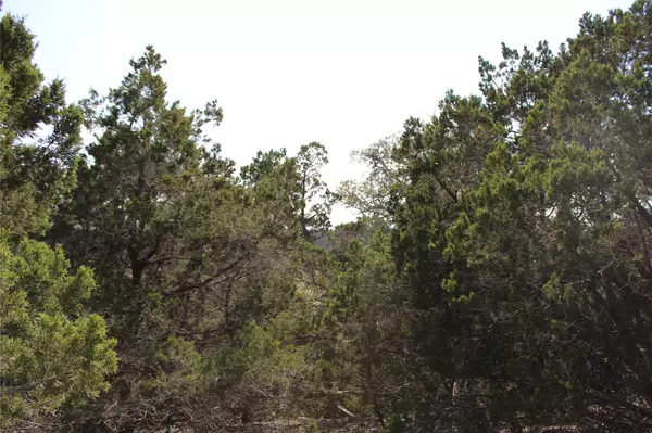 Fischer, TX 78623,251 Serenity