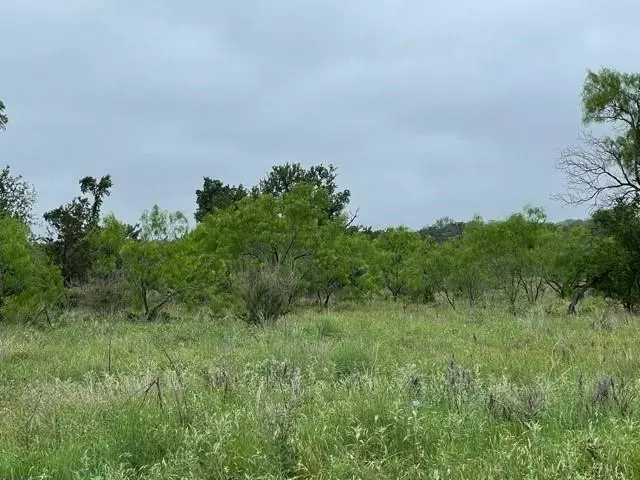 Spicewood, TX 78669,105 Lazy Oak PL
