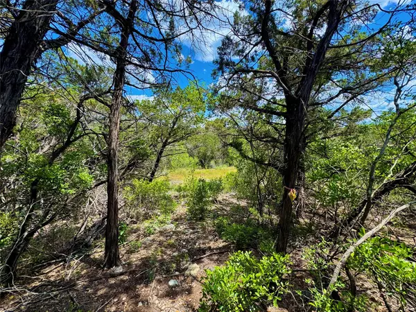 LOT 2, UNIT 4 Private Rd 2771, Mico, TX 78056