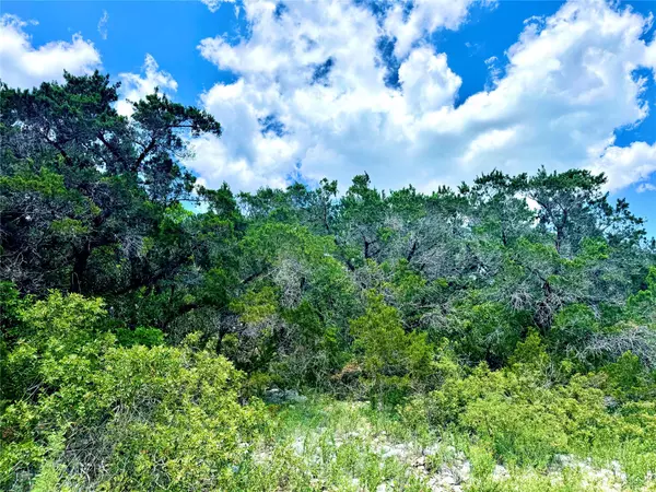 Mico, TX 78056,LOT 2, UNIT 4 Private Rd 2771