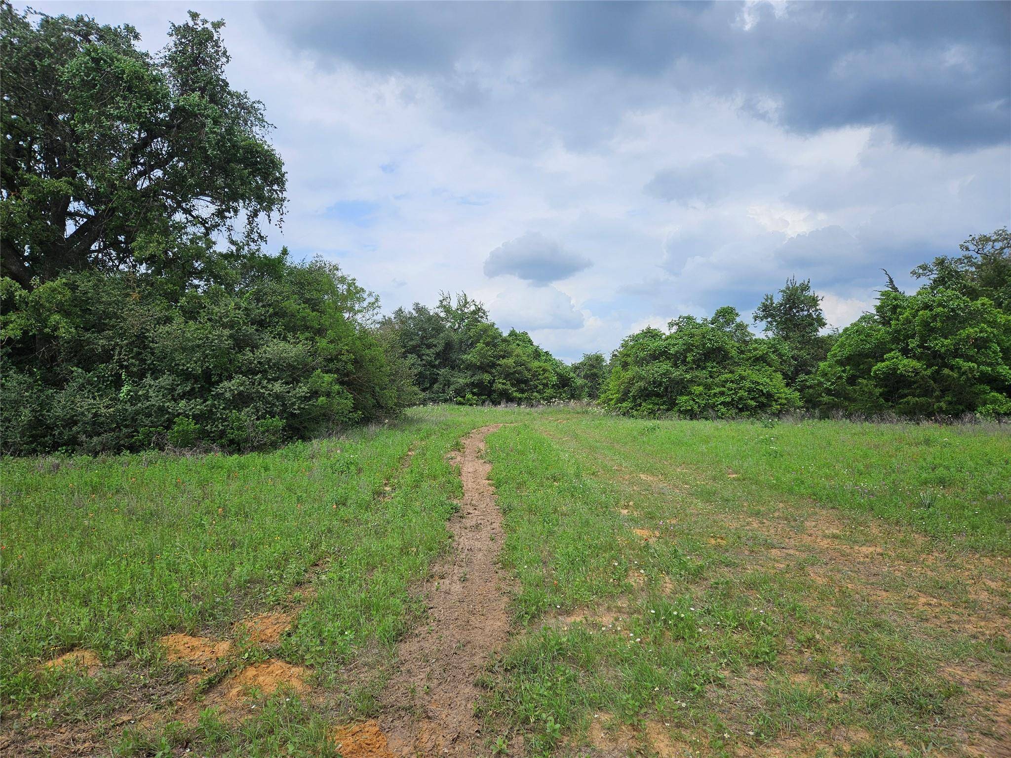 Milano, TX 76556,8912 C R 322