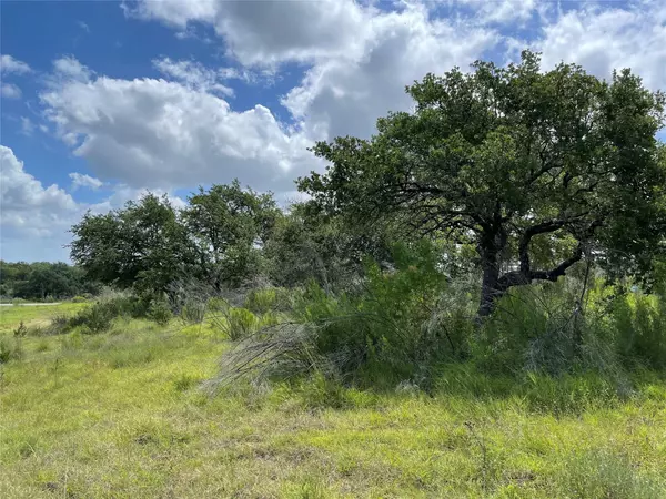 Marble Falls, TX 78654,0 Bosque TRL