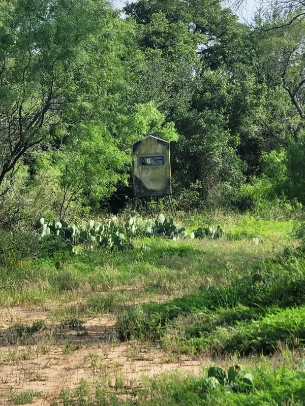 Rochelle, TX 76872,950 County Road 442