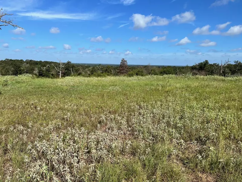 Lot 3 CR 322, Milano, TX 76556