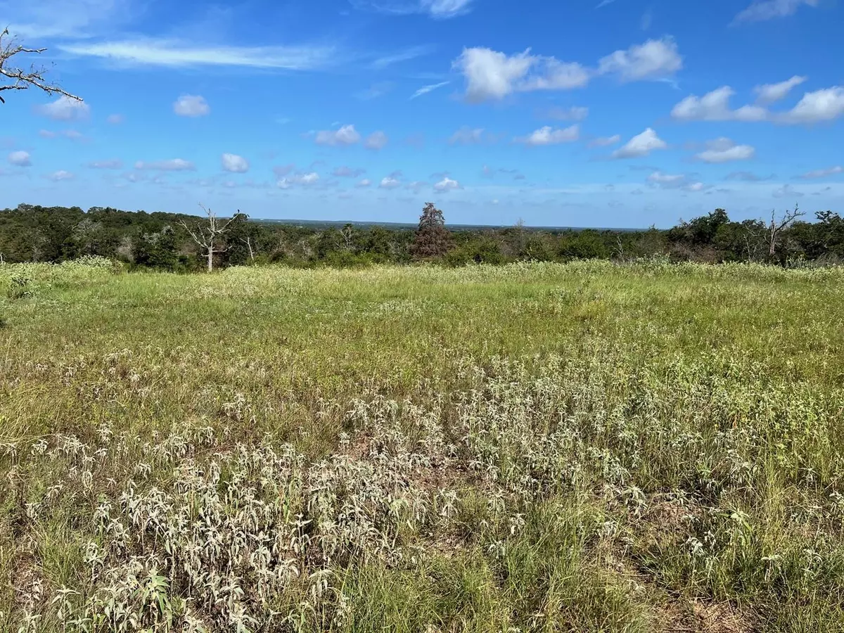 Milano, TX 76556,Lot 3 CR 322