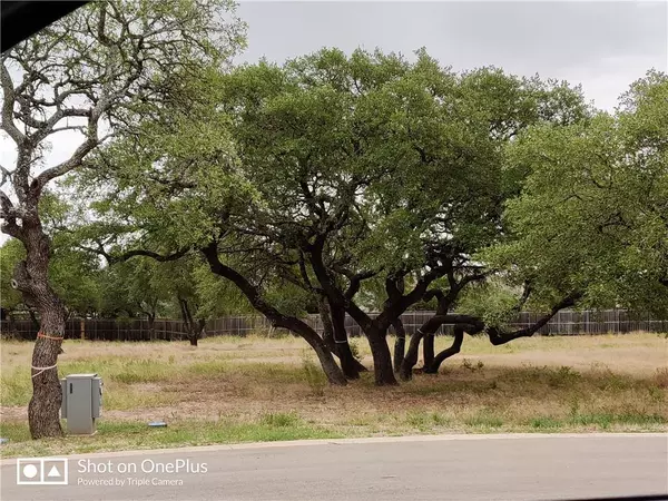 Dripping Springs, TX 78620,410 Whisenant LN