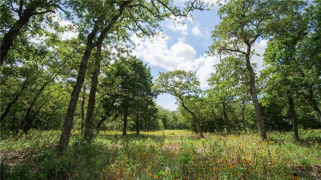 Thorndale, TX 76577,TBD Perry Lane