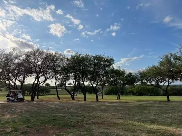 25000 Stableford CIR,  Spicewood,  TX 78669