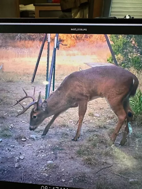 0 US Hwy 183 N HWY, Lometa, TX 76853