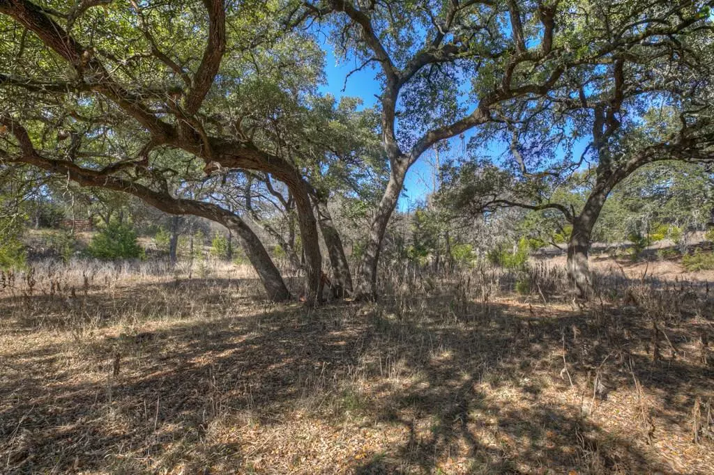 Wimberley, TX 78676,Lot AO243 Ridge Oak DR