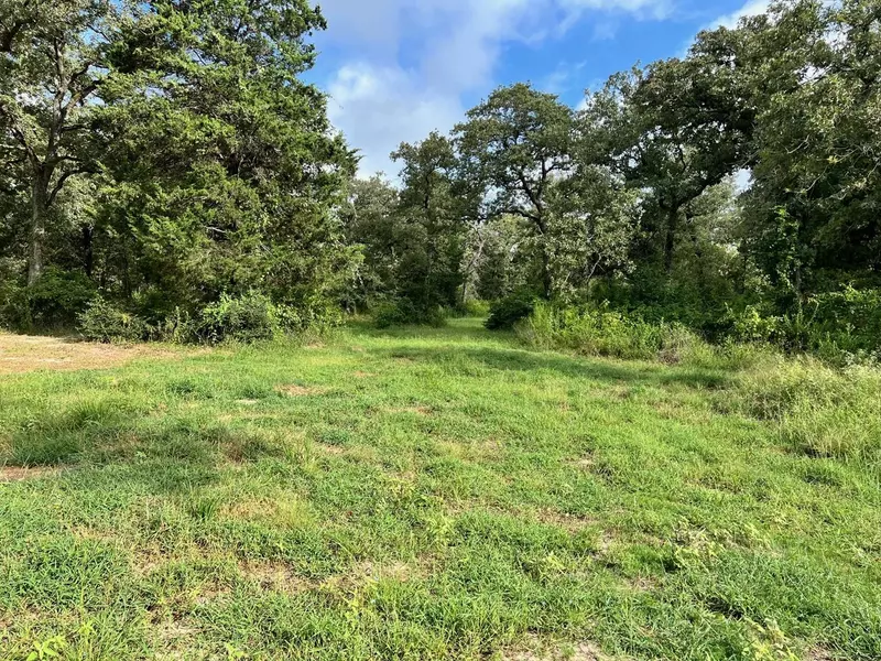 Lot 15 CR 322, Milano, TX 76556