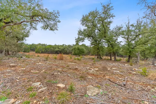 Driftwood, TX 78619,301 Lonesome TRL