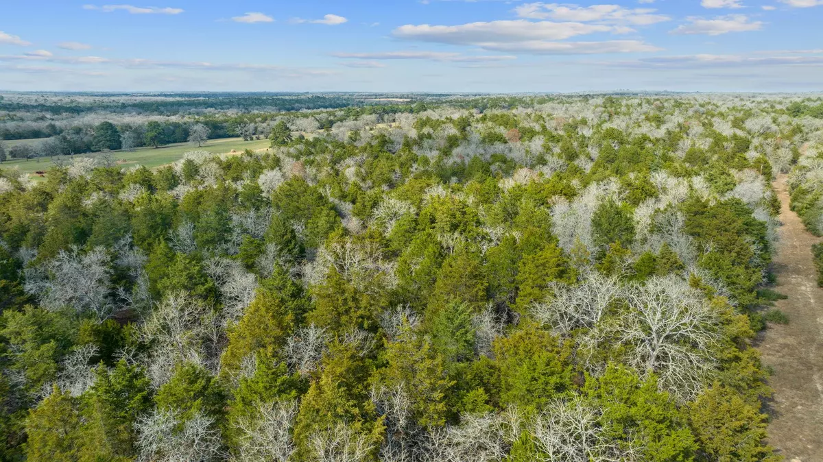 Rosanky, TX 78953,16945 FM 713