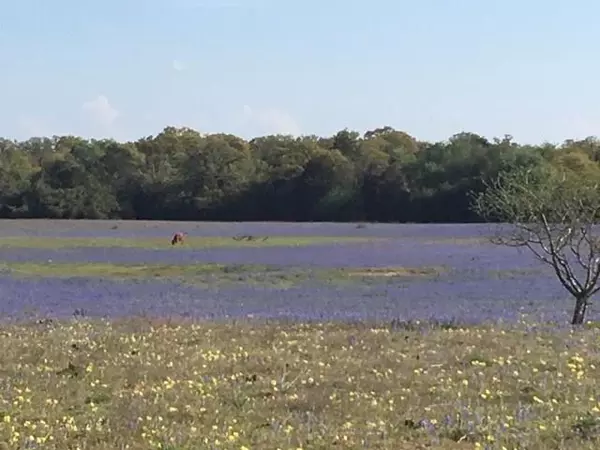 242 Fm 969, Bastrop, TX 78602