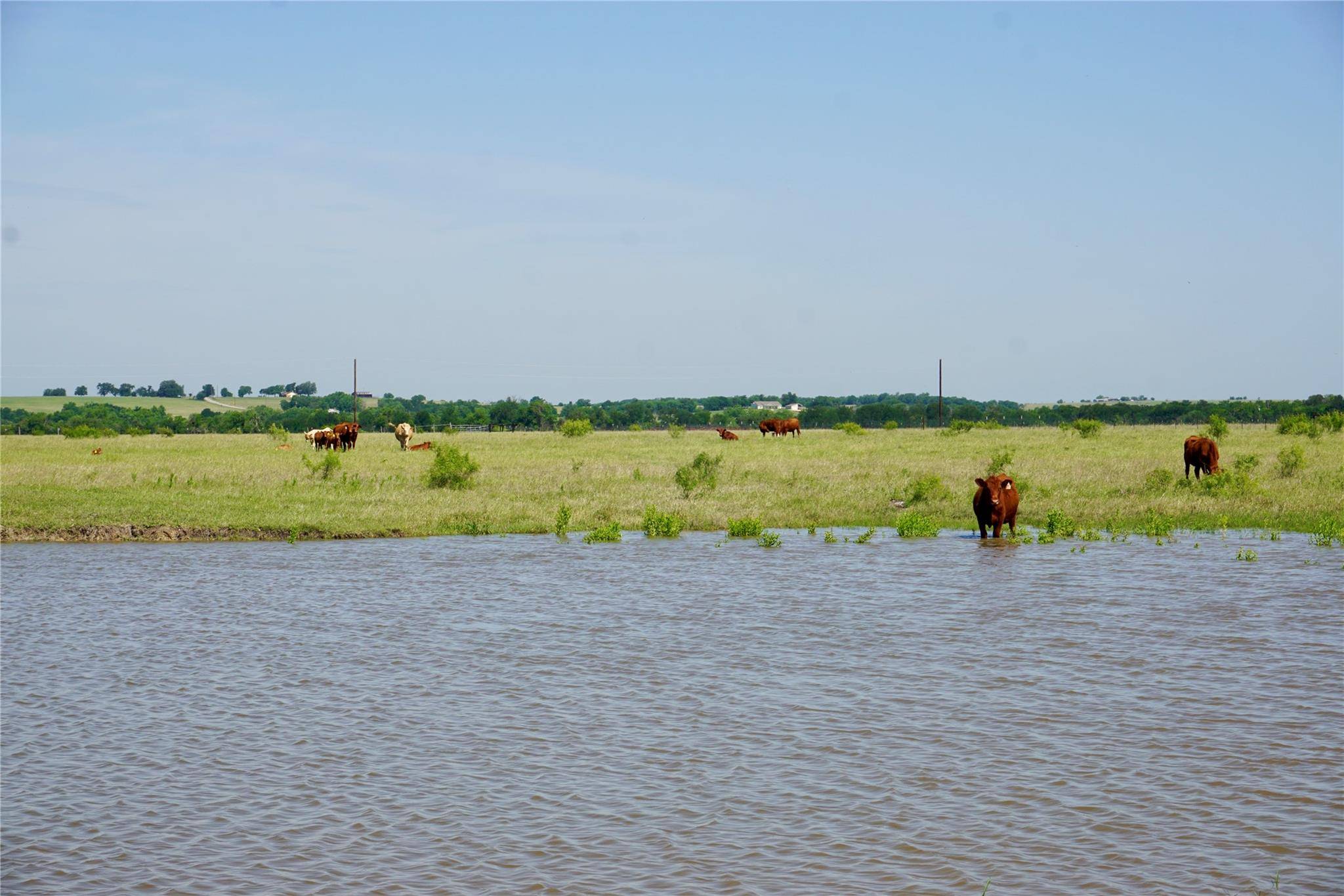 Cr 101 County Road 101 RD, Rogers, TX 76569