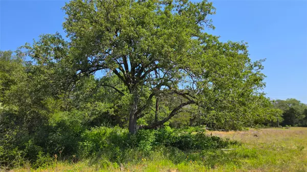 Red Rock, TX 78662,277 Meuth Cemetery RD