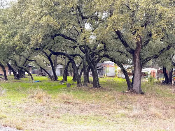 Canyon Lake, TX 78133,TBD Irene DR #Lot 590