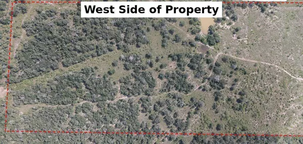 Waelder, TX 78959,000 County Road 420