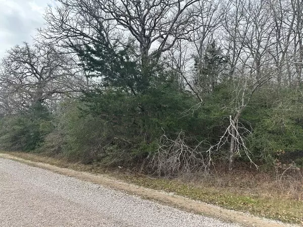 Caldwell, TX 77836,TBD Hollow Bend RD