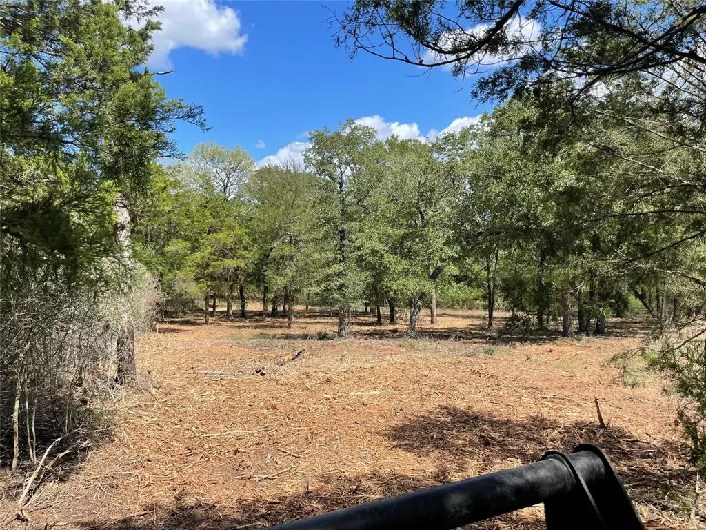 Smithville, TX 78957,Lot 3, 2104 Angle Estates FM 2104