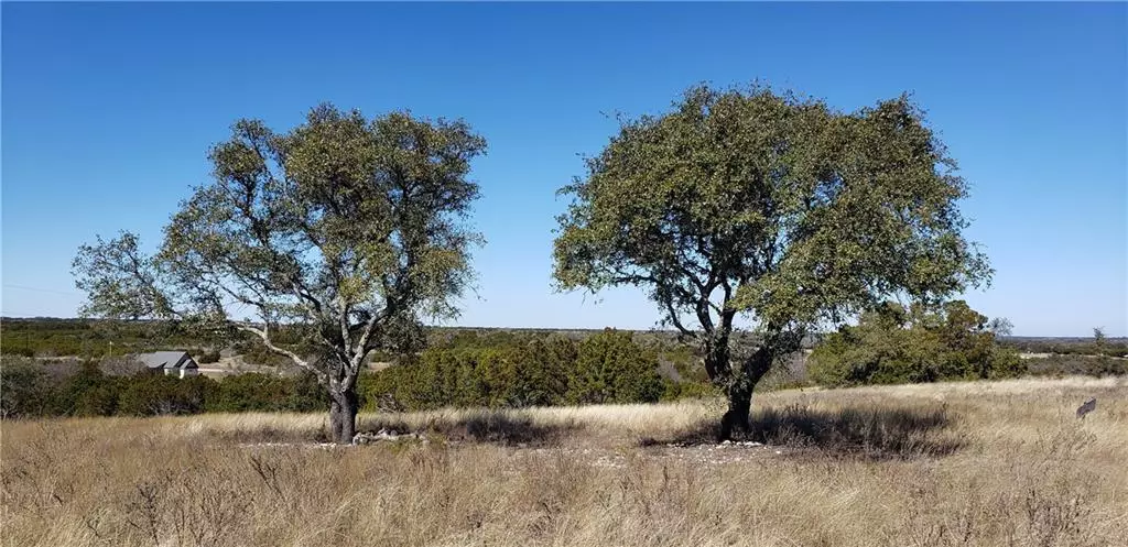 Burnet, TX 78611,LOT 26 Paintbrush LN