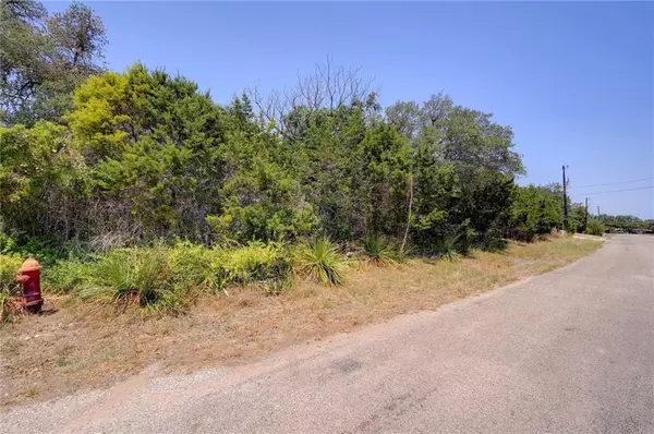Canyon Lake, TX 78133,135 Mountainview DR